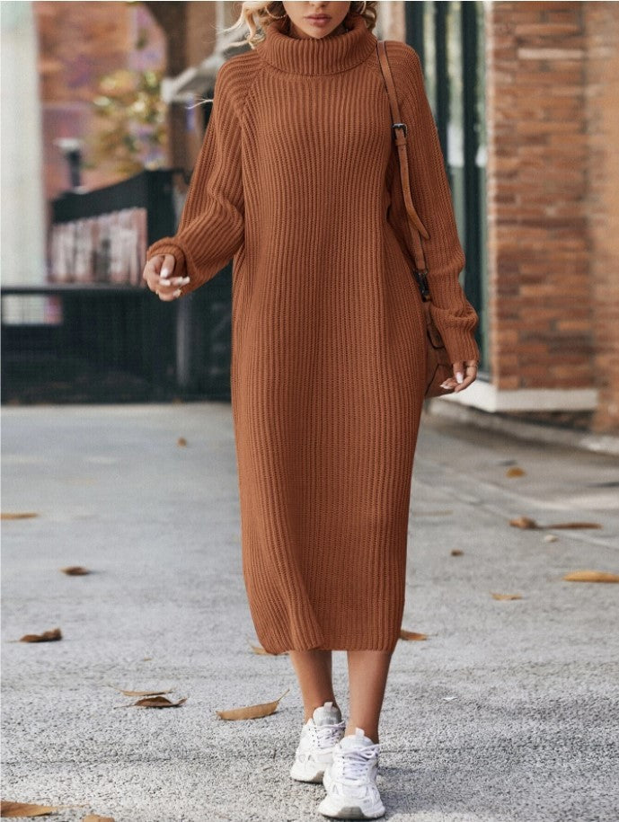 Cozy Turtleneck Dress
