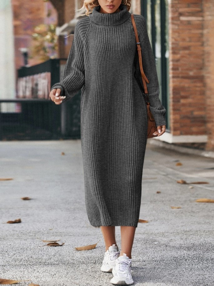 Cozy Turtleneck Dress