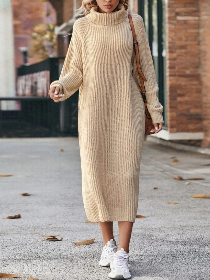 Cozy Turtleneck Dress