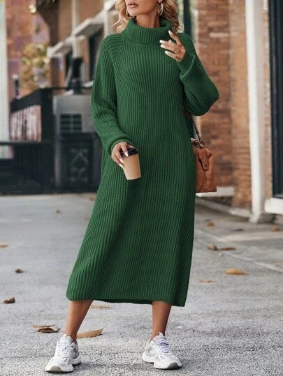 Cozy Turtleneck Dress