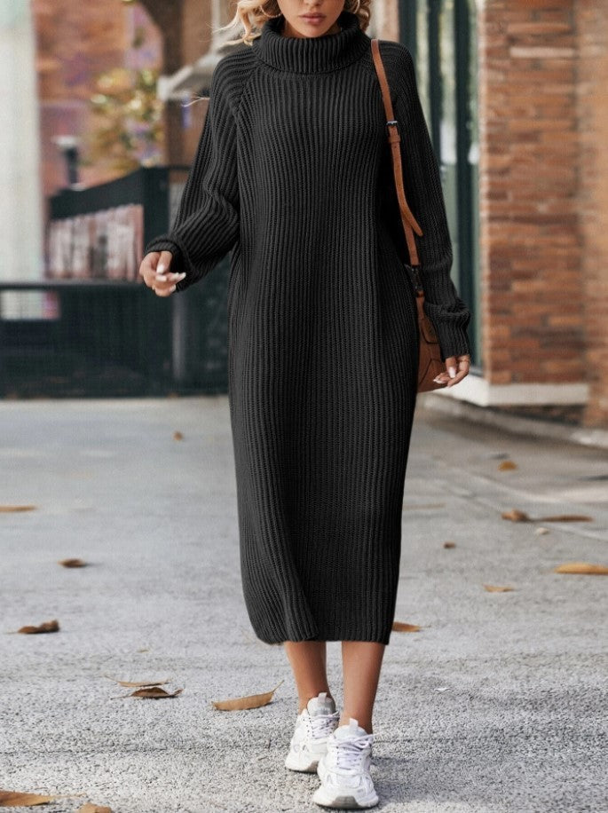 Cozy Turtleneck Dress